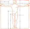 Humanproportion